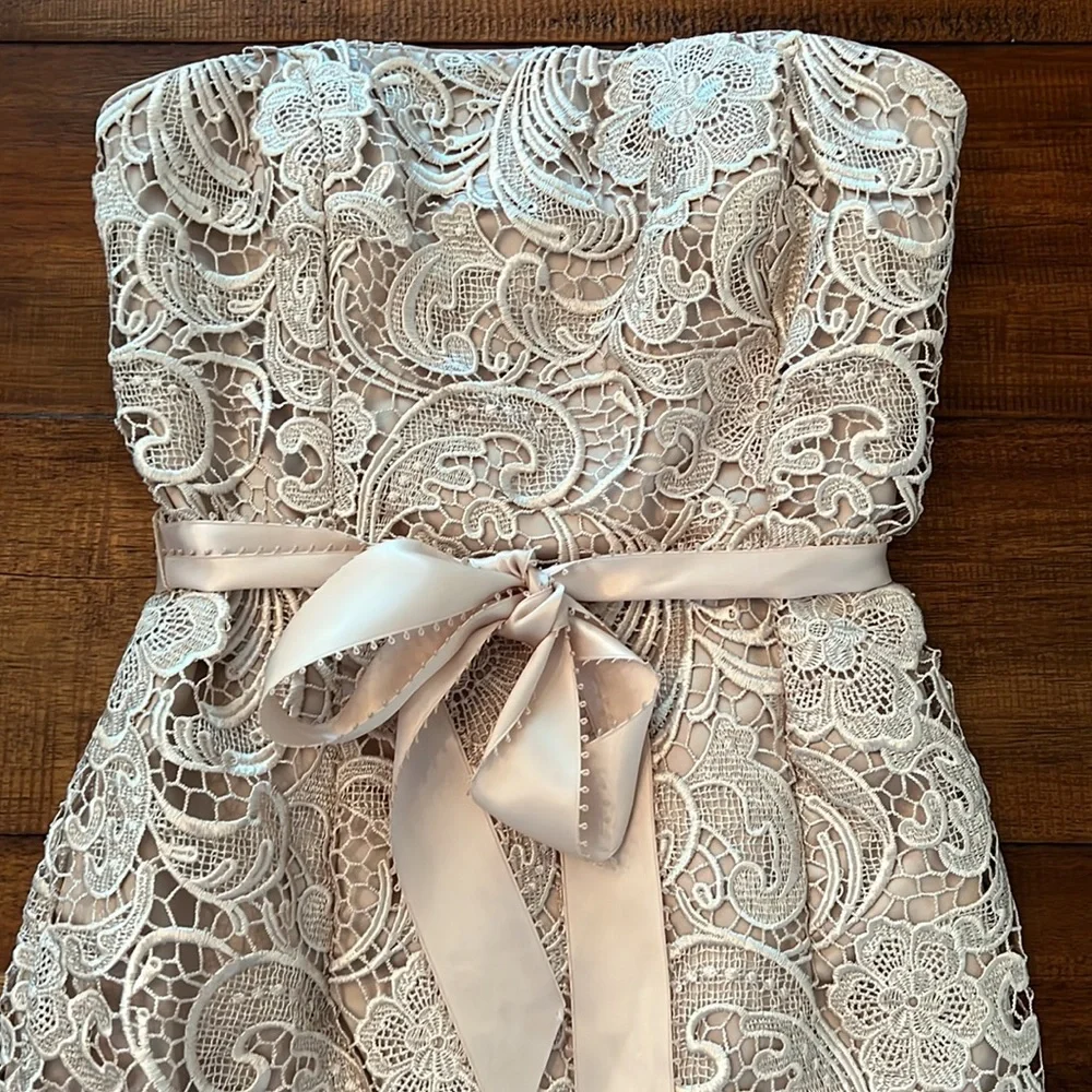 Adrianna Papell- Strapless, Laced Cocktail Dress- Sz 4 - Picture 4 of 8